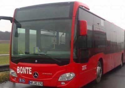 Conductores de Autobus para Alemania